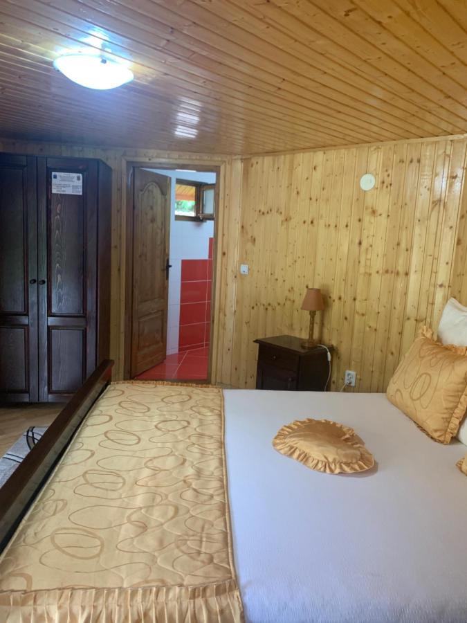 Отель Podul Cetatii Sebesel Экстерьер фото
