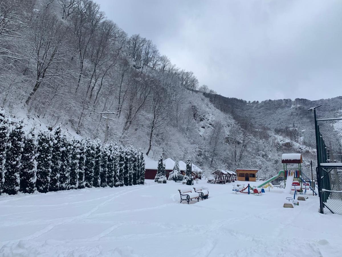 Отель Podul Cetatii Sebesel Экстерьер фото