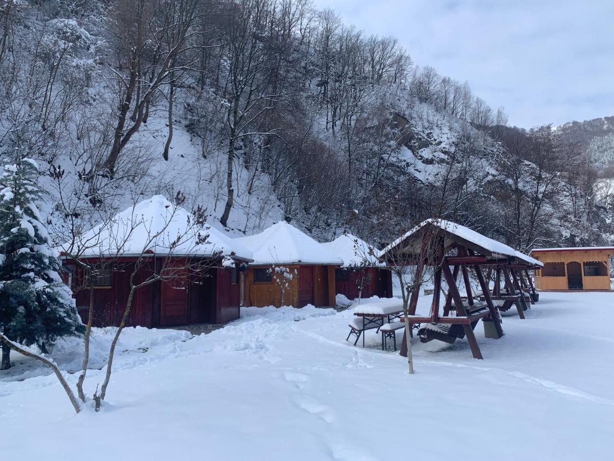Отель Podul Cetatii Sebesel Экстерьер фото